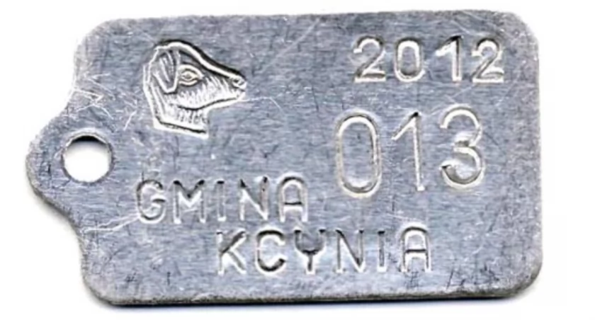 Tabliczki identyfikacyjne wydawane w kcyńskim ratuszu celem identyfikacji psów fot Anna Duda-Nowicka