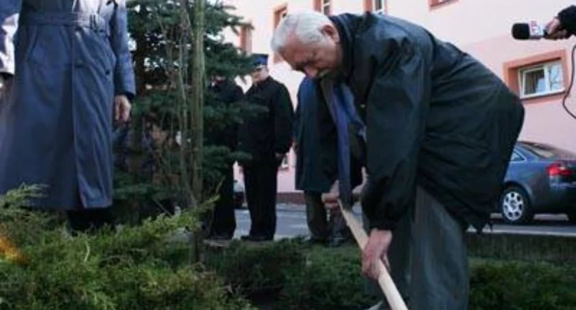 Jerzy Młodowicz z Bielska-Białej, syn zamordowanego w Twerze Józefa Młodowicza, jako pierwszy wkopał dąb poświęcony jego ojcu. Później uroczystego wkopania dębu dokonał wnuk przedwojennego komendanta Maciej Młodowicz, a na końcu komendant wojewódzki policji nadinspektor Krzysztof Gajewski.    fot. Remigiusz Konieczka