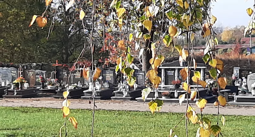 fot. Mirosława Roszak