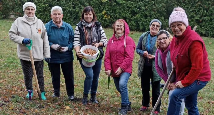 Przedstawicielki Stowarzyszenia Razem dla Dziewierzewa podczas nasadzeń krokusów, fot. Ewa Hałas 