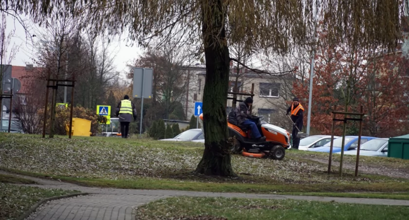 To nie jest grudniowe koszenie trawy, lecz zbieranie liści z trawnika fot. Karol Gapiński