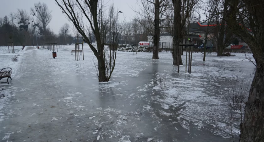 Zalany park już skuty lodem fot. Karol Gapiński