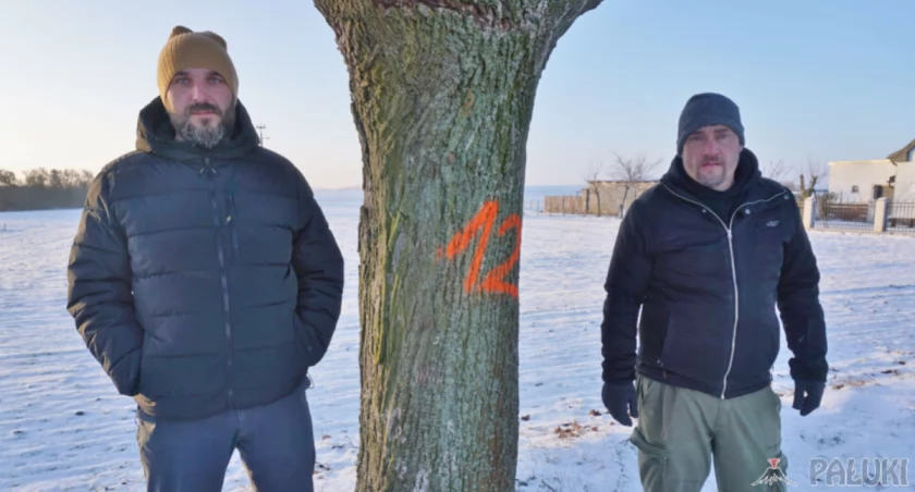 Mieszkańcy Biskupina (od lewej) Mariusz Woźniak i Szymon Nowaczyk zamierzają walczyć o zagrożone wycięciem drzewa fot. Justyna Kulpińska