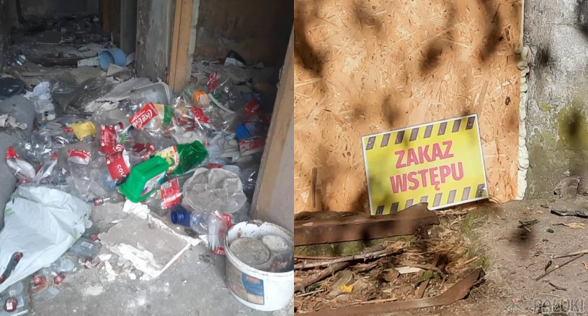 Kolej stopniowo porządkuje należący do niej teren w Janowcu Wlkp. fot. Justyna Kulpińska