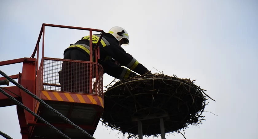 Akcja ratowania boćka uwięzionego w gnieździe w Kani fot. Magdalena Kruszka