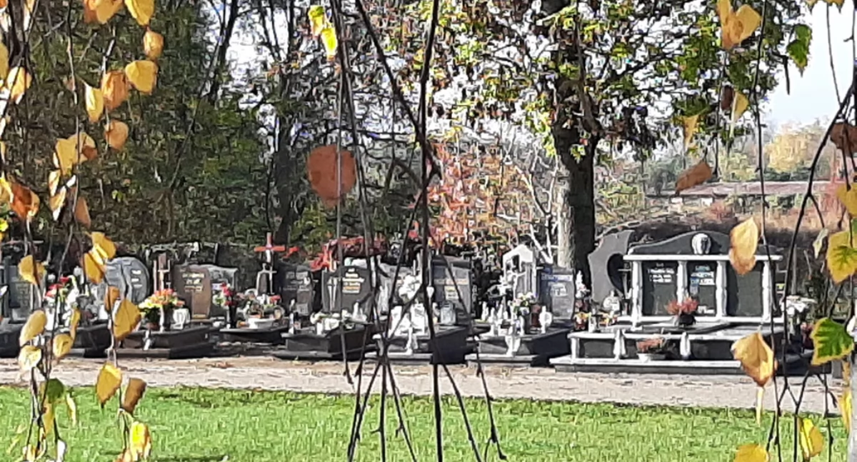 fot. Mirosława Roszak