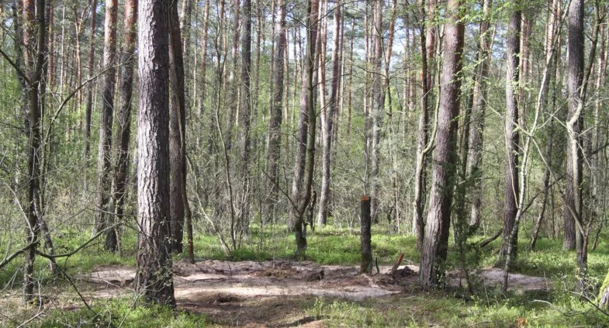 fot. Remigiusz Konieczka, archiwum Pałuk