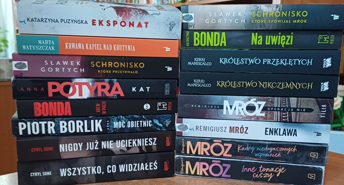 Nowości czytelnicze w kcyńskiej bibliotece (sierpień 2024) 