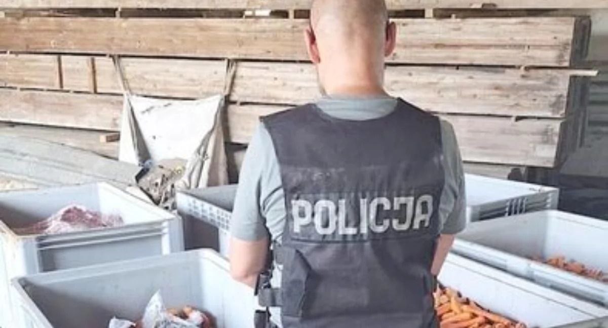 W skrzyniach z marchewką ukryto miliony złotych w narkotykowym towarze fot. Policja Pomorska