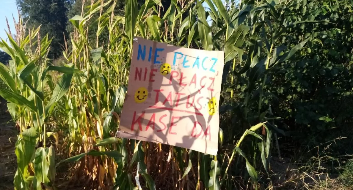 Dwa takie plakaty pojawiły się na polu kukurydzy fot. powierzone