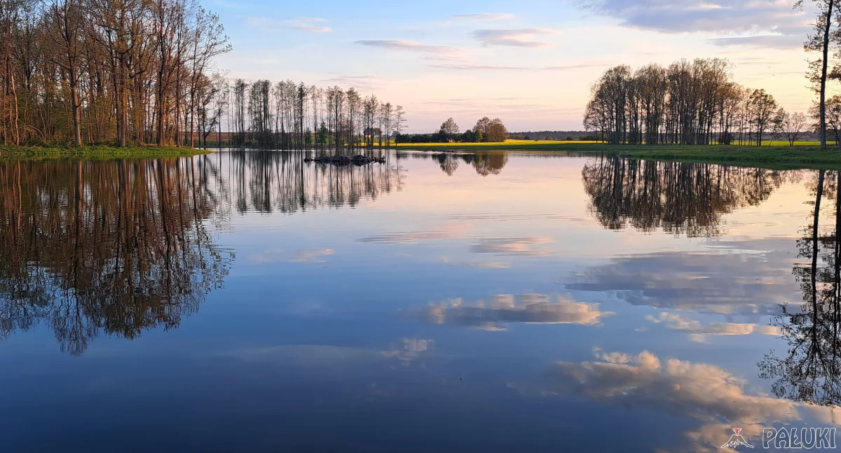 Nawadnianie obszarów leśnych leśnictw Szczepanowo i Niedźwiedzi Kierz z wykorzystaniem wody z kopalni kruszywa w Wapiennie zwyciężyło w XXVIII edycji konkursu na modernizację roku 2023 w kategorii obiekty ochrony środowiska fot. Karol Gapiński