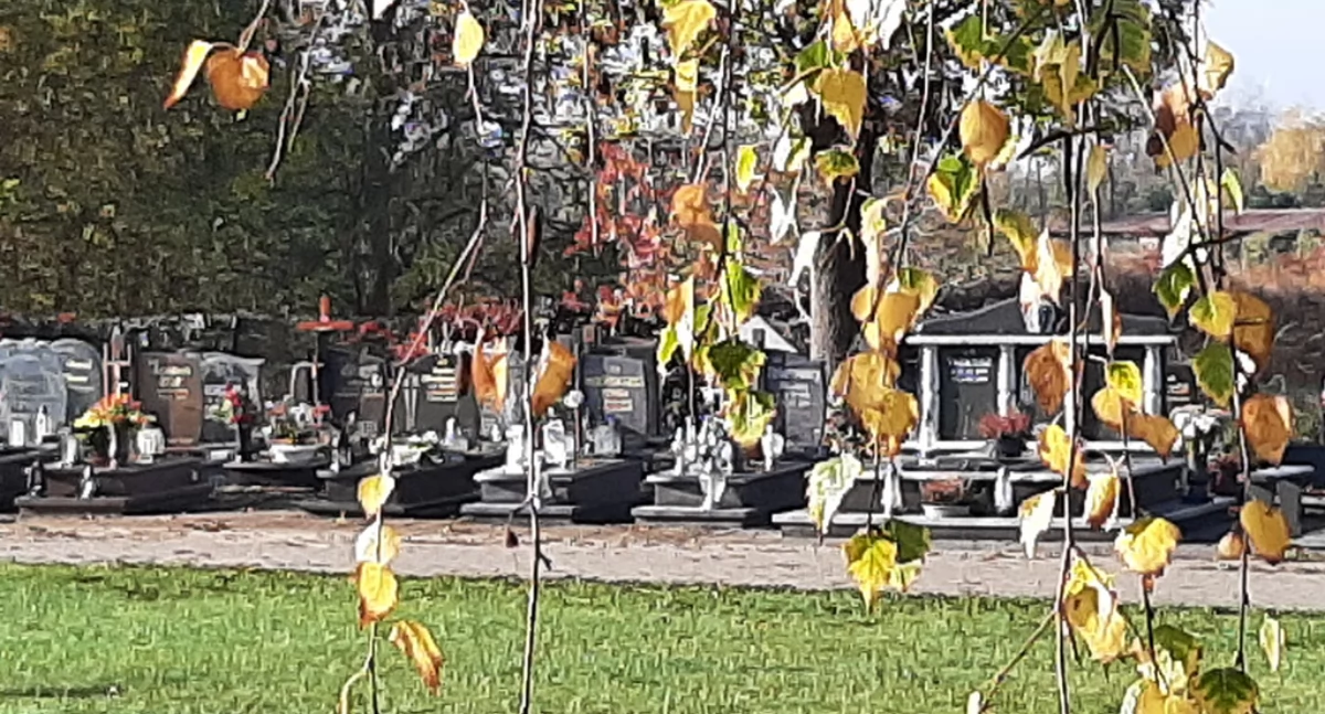 fot. Mirosława Roszak