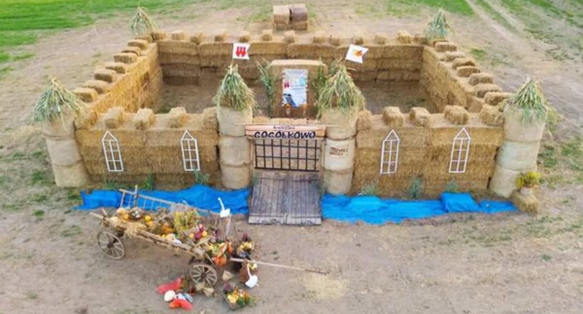 Witacz zajął II miejsce fot. z arch. Sołectwa Gogółkowo