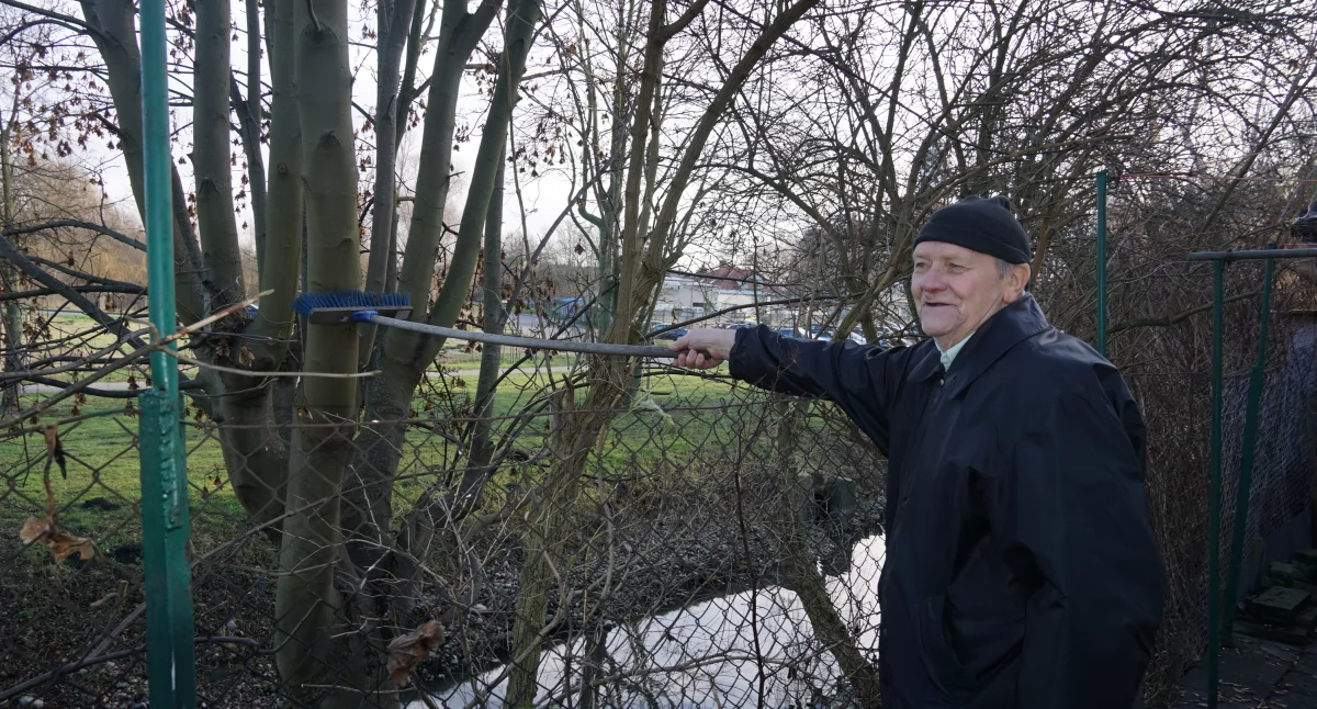 Ryszard Nowicki wskazuje miotłą do jakiej jego zdaniem wysokości należałoby przyciąć drzewo na skarpie rzeki fot. Karol Gapiński