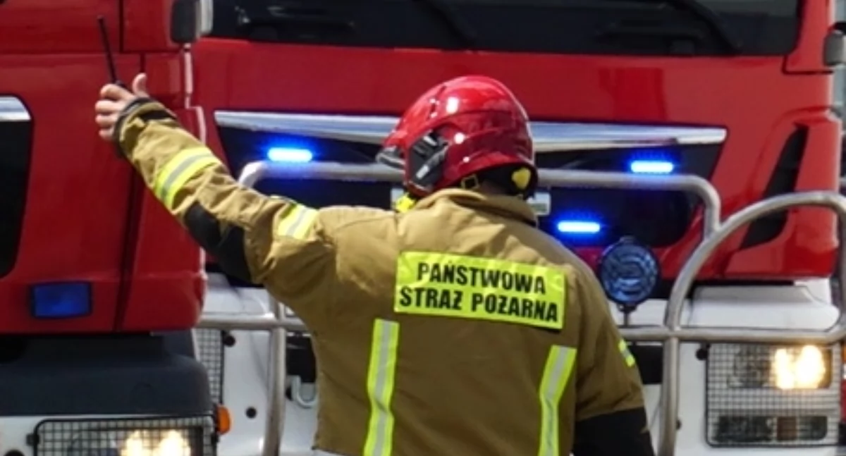 fot. Karol Gapiński, archiwum Pałuk