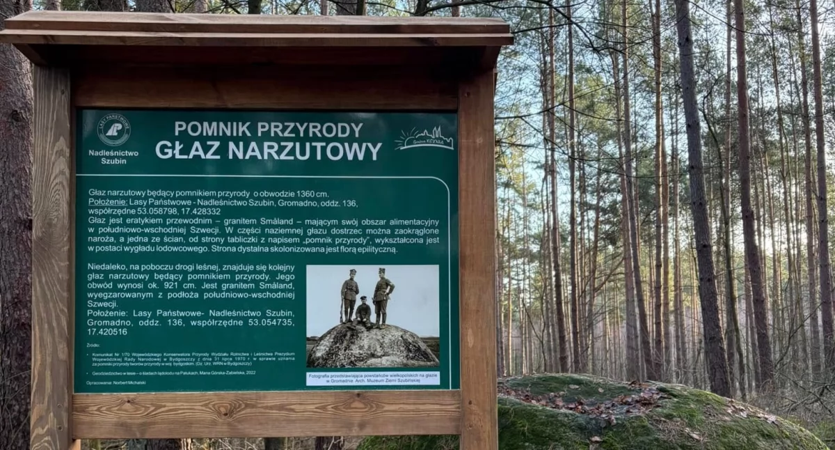 Pomniki przyrody - głazy narzutowe w gminie Kcynia opisane (fot. UM Kcynia) 