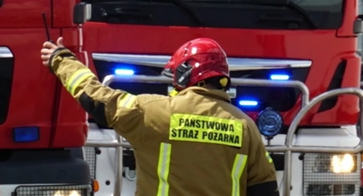 fot. Karol Gapiński, archiwum Pałuk