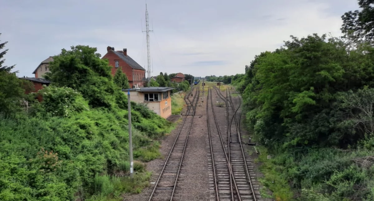 Wkrótce tymi torami pojadą pociągi. Od ponad 20 lat na trasie z Wielkopolski nie kursują transporty pasażerskie fot. Ewa Hałas