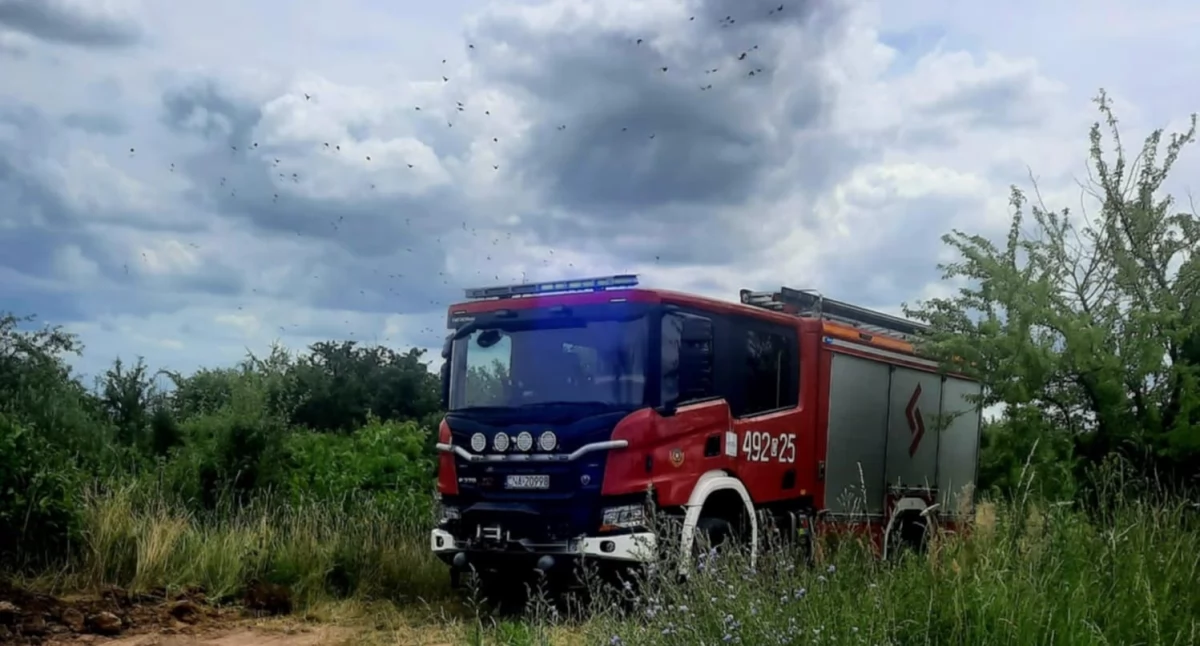 Interwencje strażaków, pożary nieużytków w Kcyni przy torach ulica Szymborskiej i Pałucka (fot. Ewa Hałas) 