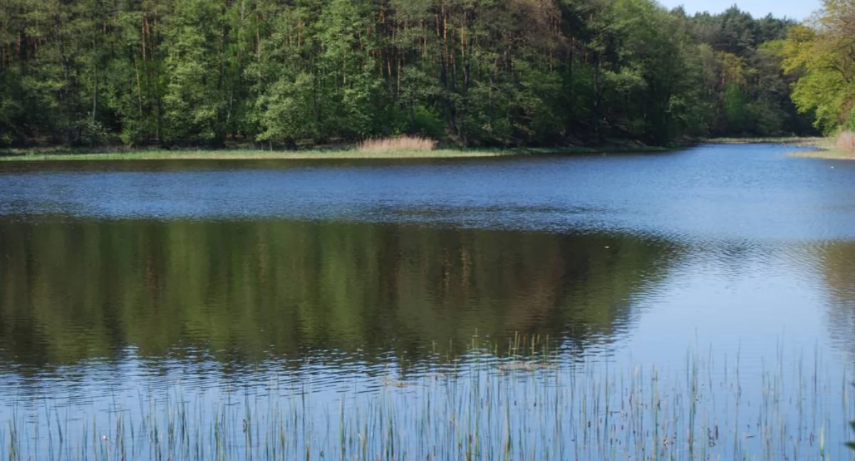 fot. archiwum Pałuk