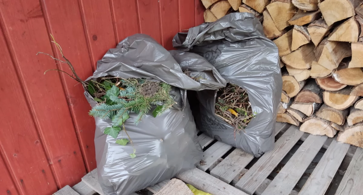 Worki na odpady zielone często ulegają rozdarciom fot. nadesłane