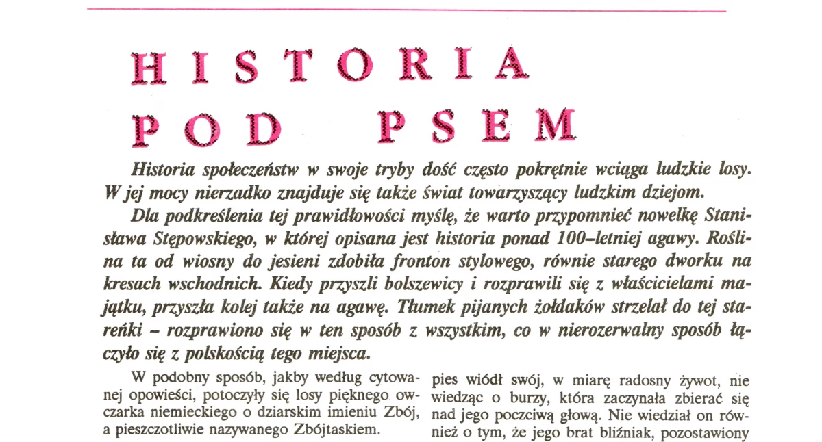 Historia lokalna • , Historia Zbója Gąsawy między bandytami Niemcami Sowietami - zdjęcie, fotografia
