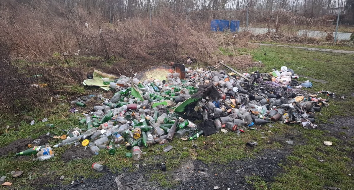 fot. nadesłane