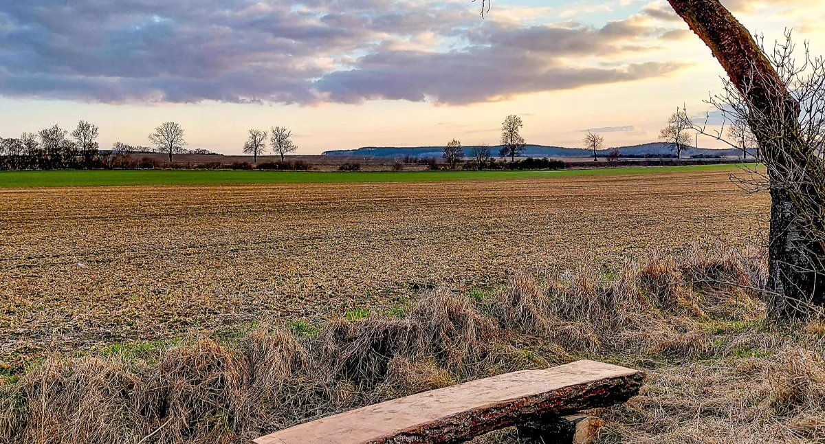 Pasja i hobby • , Jeśli spacer Smoguleckiej - zdjęcie, fotografia