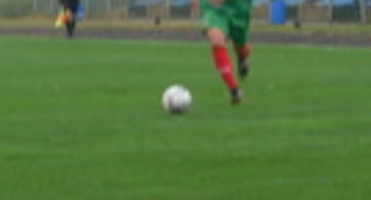 fot. archiwum Pałuki
