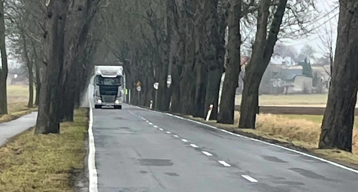 Chodnik zostanie zbudowany aż do widocznych w tle pierwszych zabudowań. fot. Cezary Kucharski