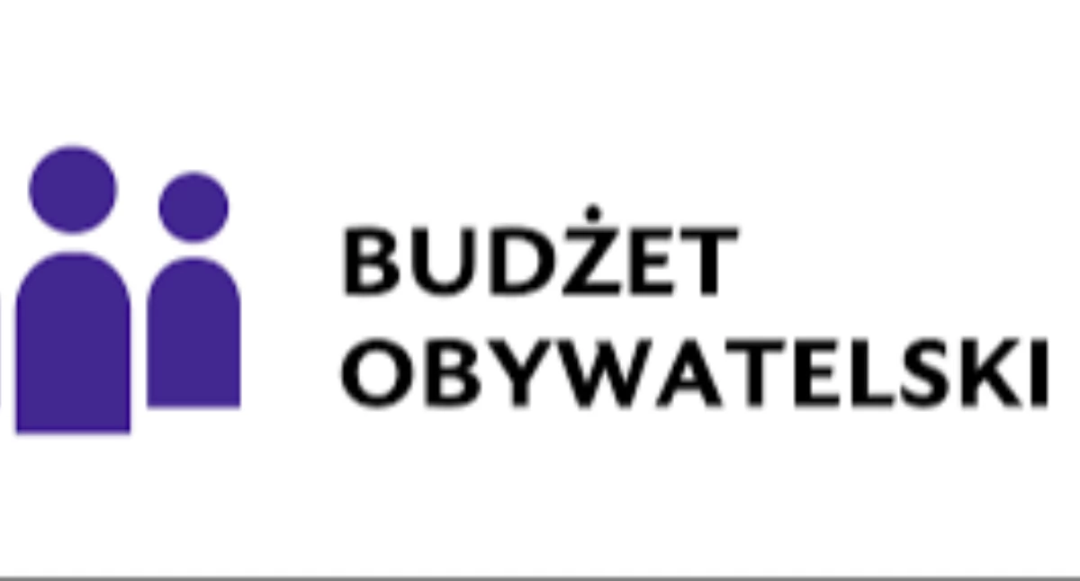 Życie miast i wsi • , Łabiszyńscy radni chcą obywatelskiego budżetu Rządzić jedna osoba - zdjęcie, fotografia