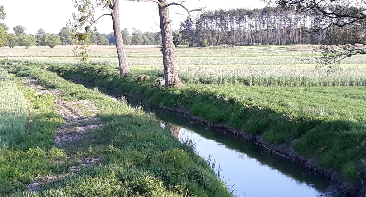 Spółki wodne przystępują między innymi do czyszczenia rowów. fot. arch palukiznin.pl