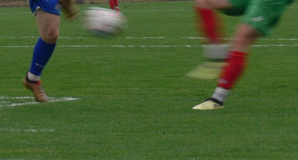 fot. archiwum Pałuki