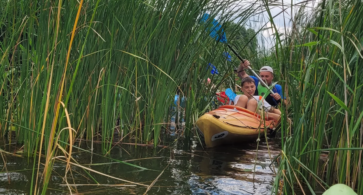 Pasja i hobby • , Osiemnasty Wakacyjny Rodzinny Spływ Kajakowy rzeki kajakarzy - zdjęcie, fotografia