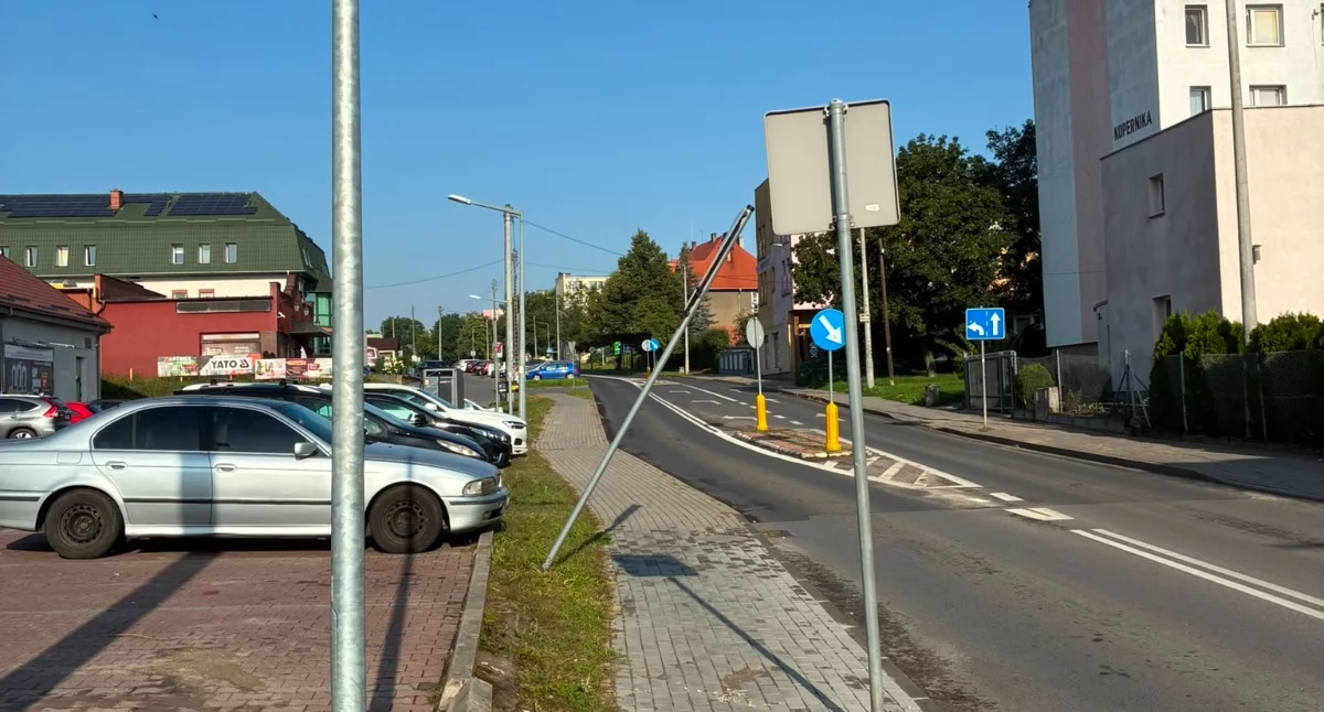 fot. nadesłane