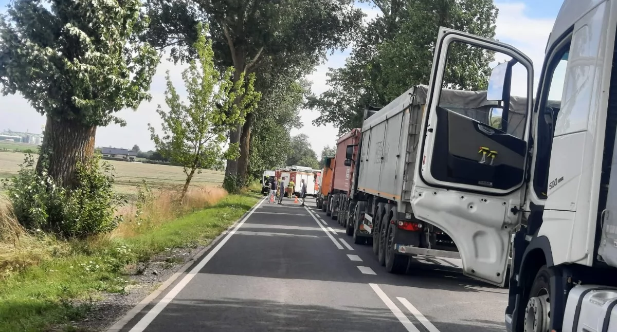 fot. nadesłane