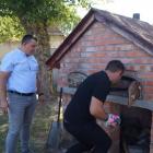 zdjęcie nr 82
