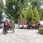 zdjęcie nr 69