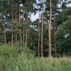 zdjęcie nr 48