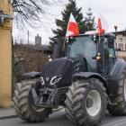 zdjęcie nr 13