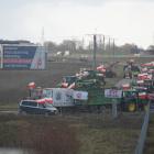 zdjęcie nr 31