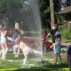 wyspa03