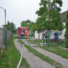 zdjęcie nr 11