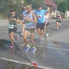 zdjęcie nr 33