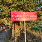 Fotka nr 4 z 7