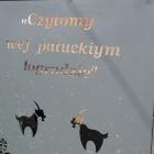 zdjęcie nr 7