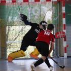 Fotka nr 4 z 34