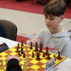 zdjęcie nr 43