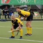 zdjęcie nr 14