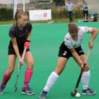 zdjęcie nr 23